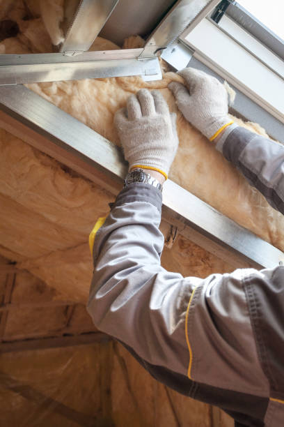 Best Residential Insulation in Burkesville, KY