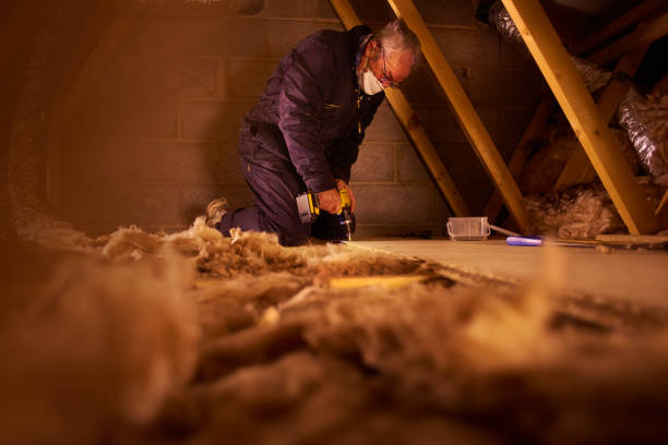 Best Specialty Insulation in Burkesville, KY